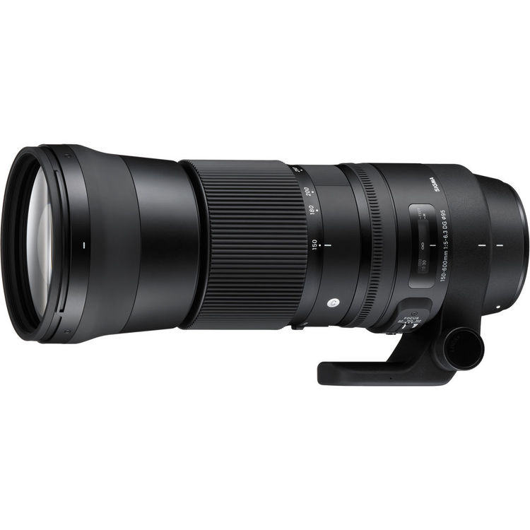 SIGMA 150-600mm F/5-6.3 DG OS HSM - C - CANON - Garanzia In Italia