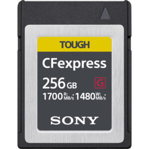 SONY CFexpress CEB-G tipo B - 256GB